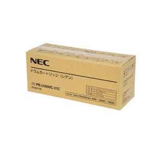 NEC5800-31C